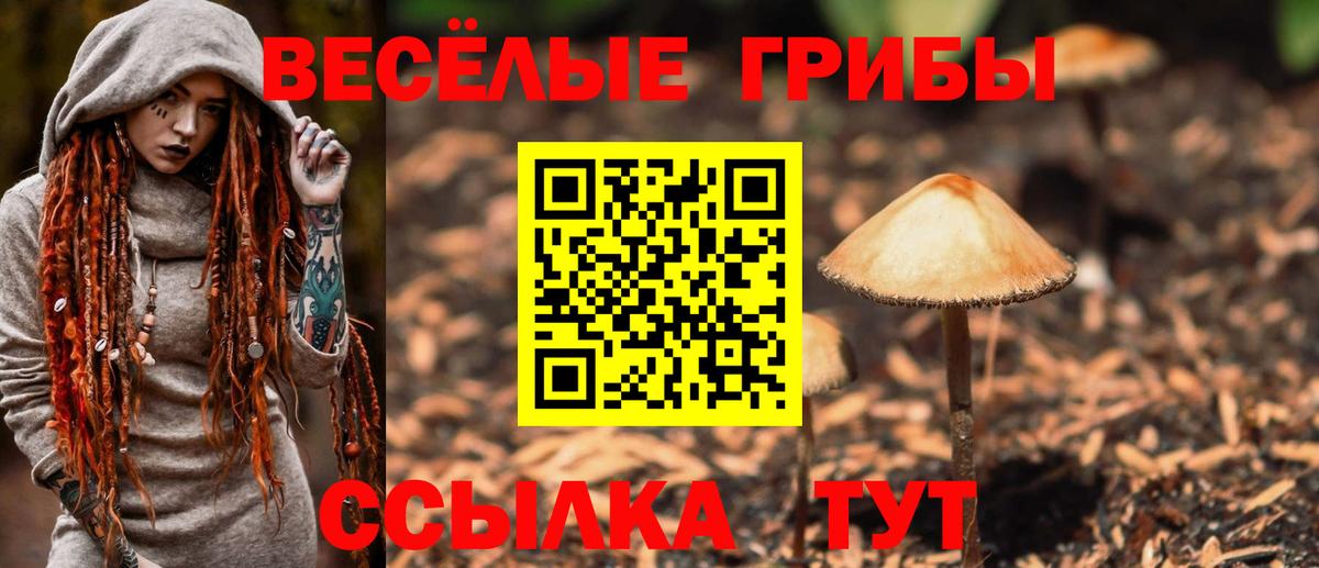 Галлюциногенные грибы MAGIC MUSHROOMS Вязники