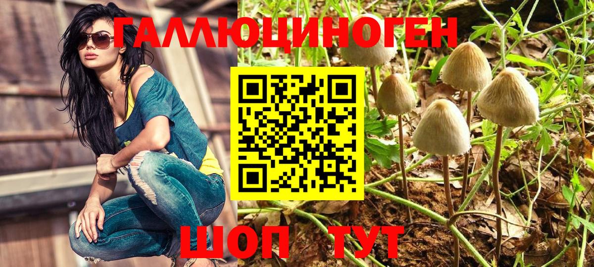 Галлюциногенные грибы ЛСД  Псилоцибиновые грибы Psilocybe  Вязники  Вход с VPN 